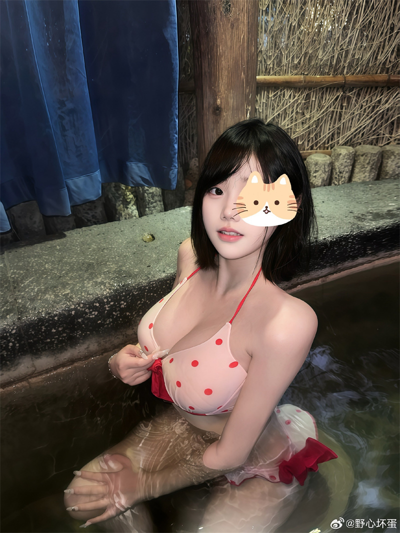 野心坏蛋微密圈全套付费写真