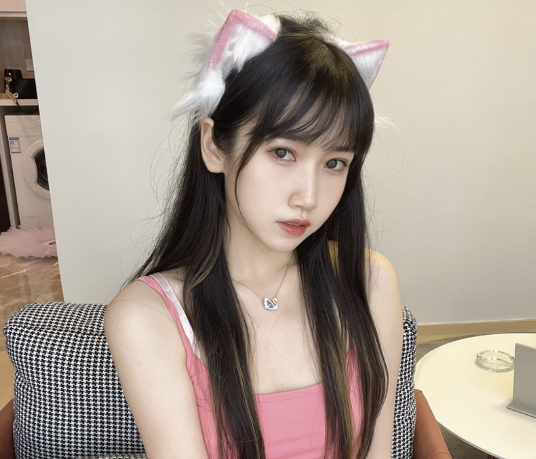 不呆猫（不槑猫）最全图片合集分享-瓜次元