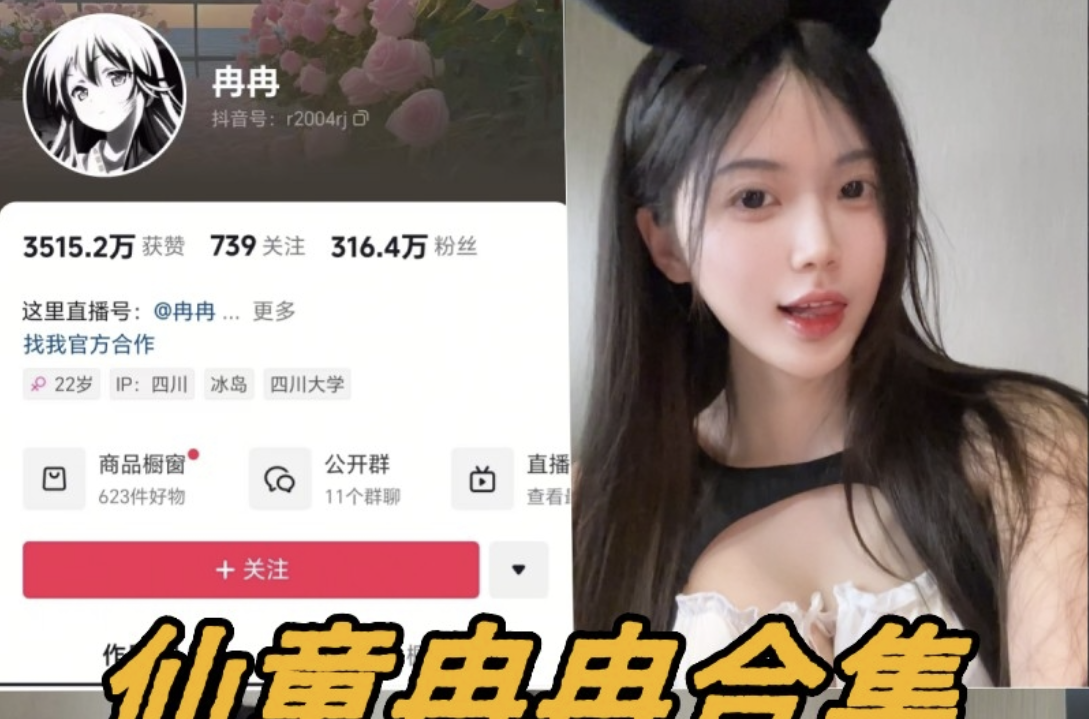 仙童冉冉微密付费写真图片以及视频合集-瓜次元