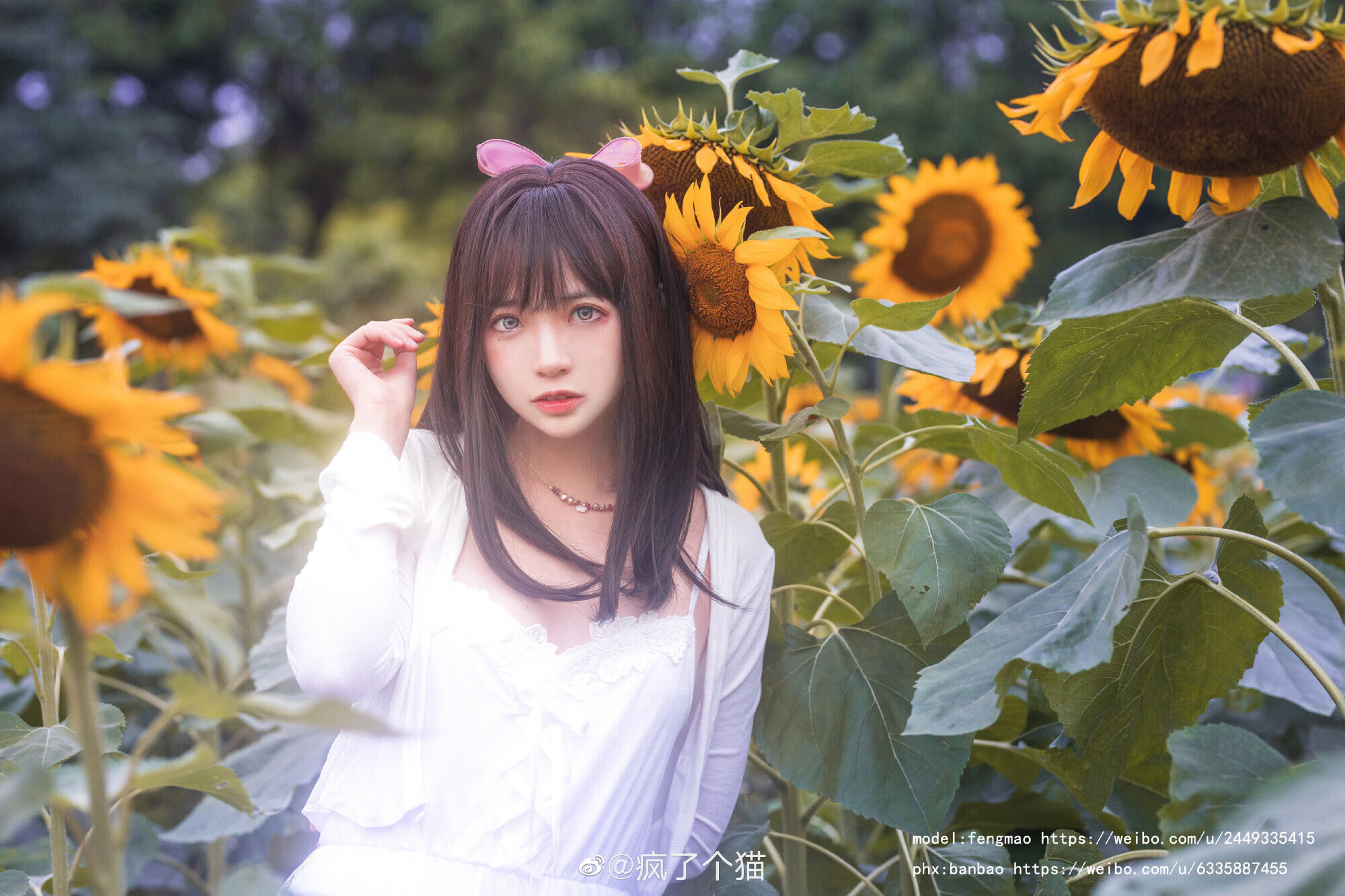 cd16365a79e22e83