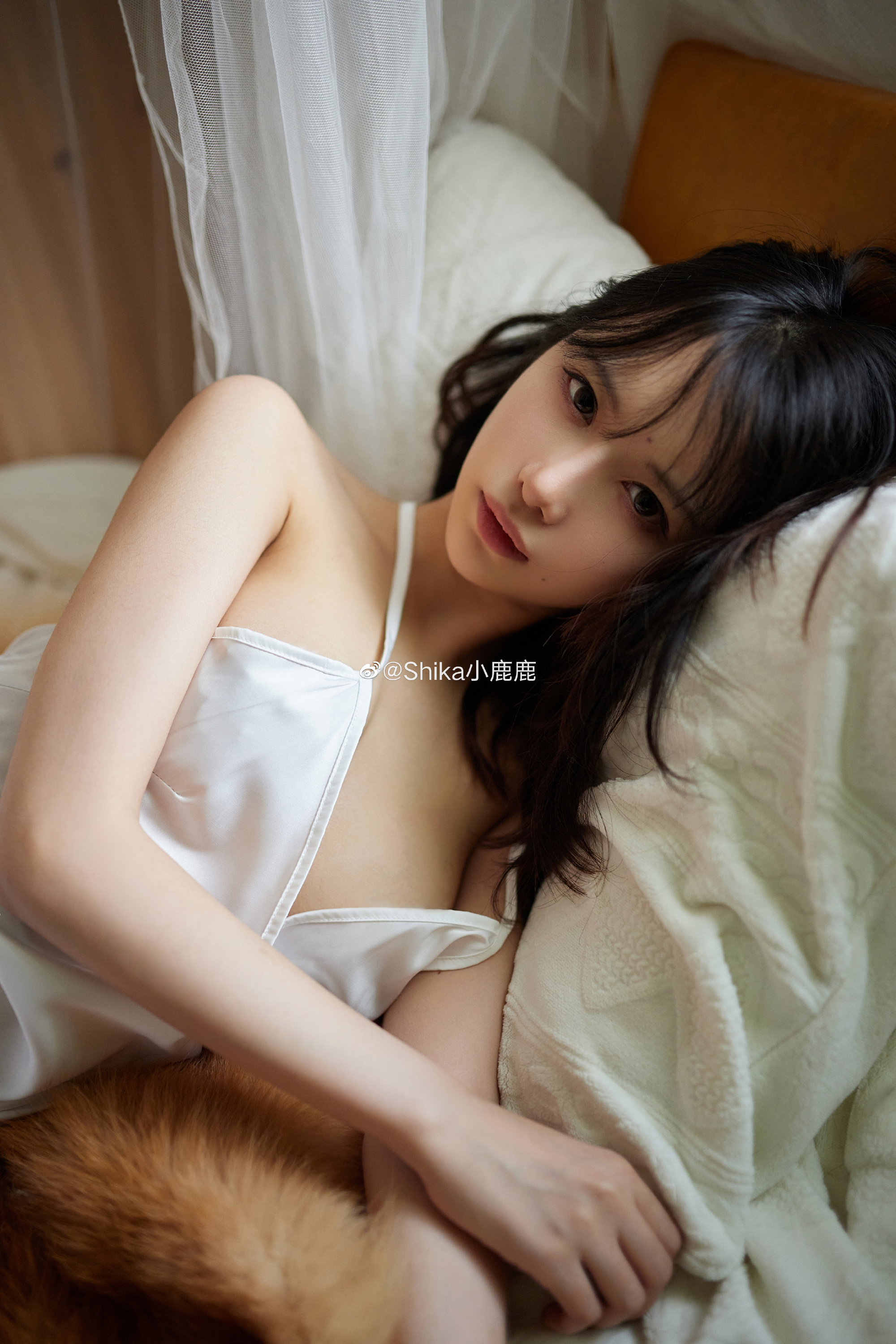 f03d129823eee161f1af94a963d86e35