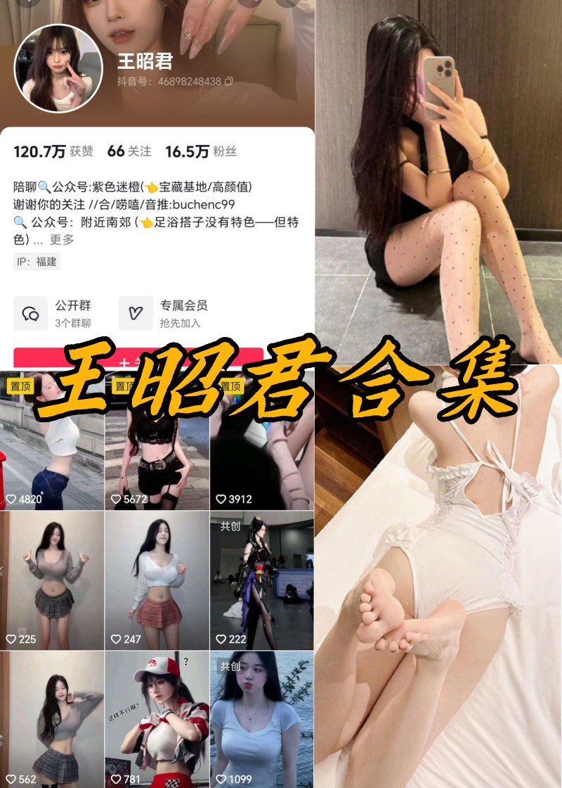 抖音王昭君微密全部写真及视频资源-瓜次元