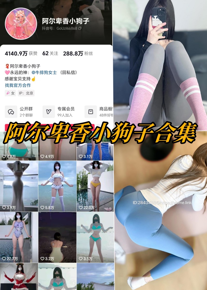 阿尔卑香小狗子微密圈写真合集资源-瓜次元